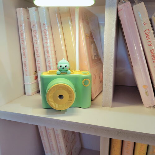 Camera desk lamp